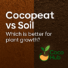 cocopeat vs soil