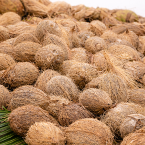 Coconut