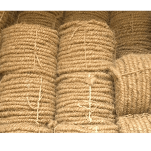 CurledCoir
