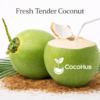 Tender Coconut