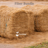 fiber-bundle