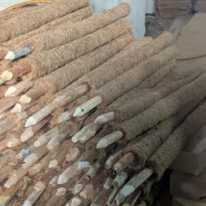 Coco Poles